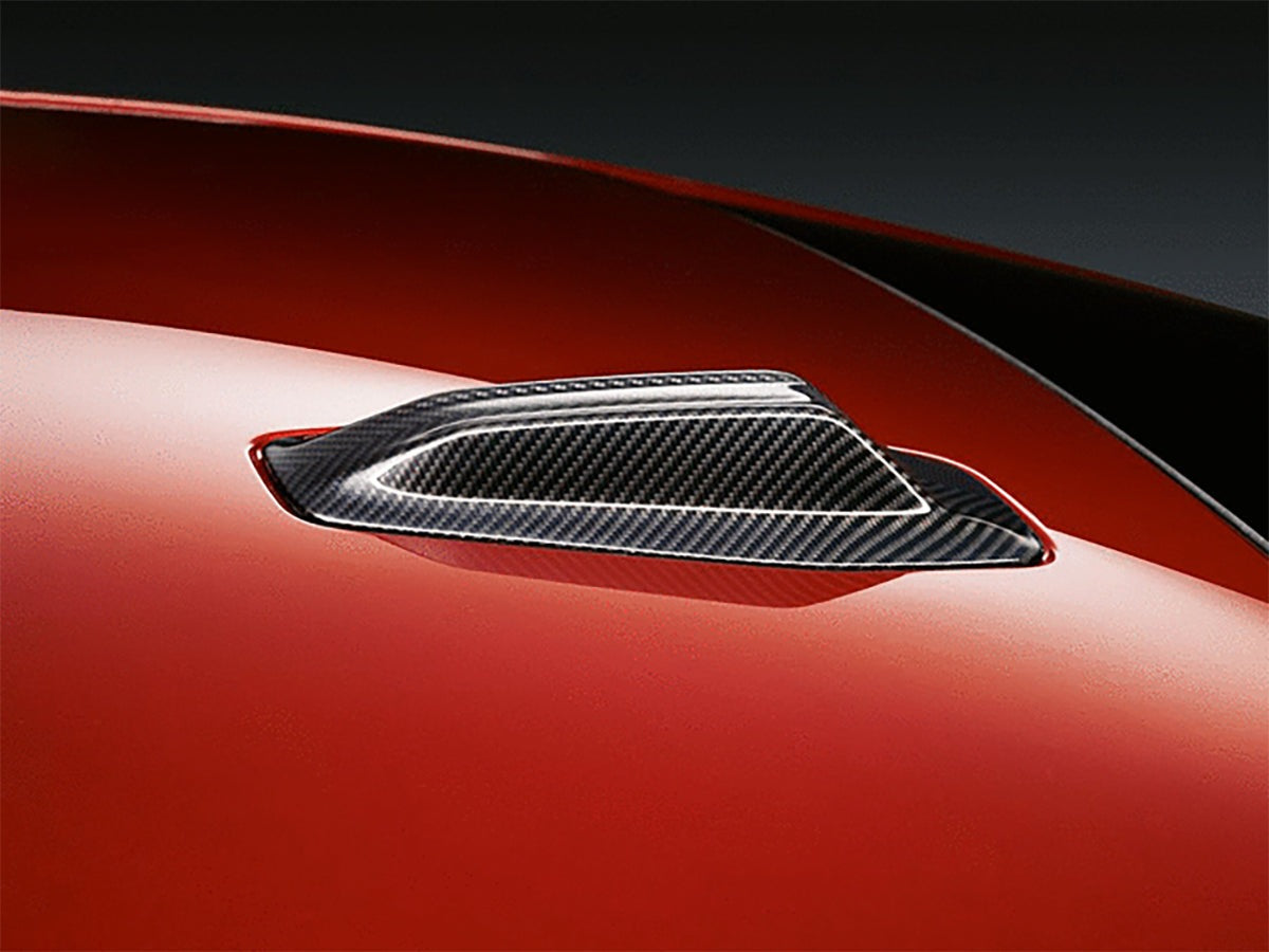 AutoTecknic Dry Carbon Roof Antenna Cover - G90 M5