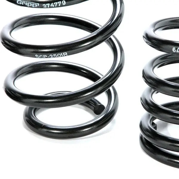 Mustang V8 Lowering Coil Springs 79-04