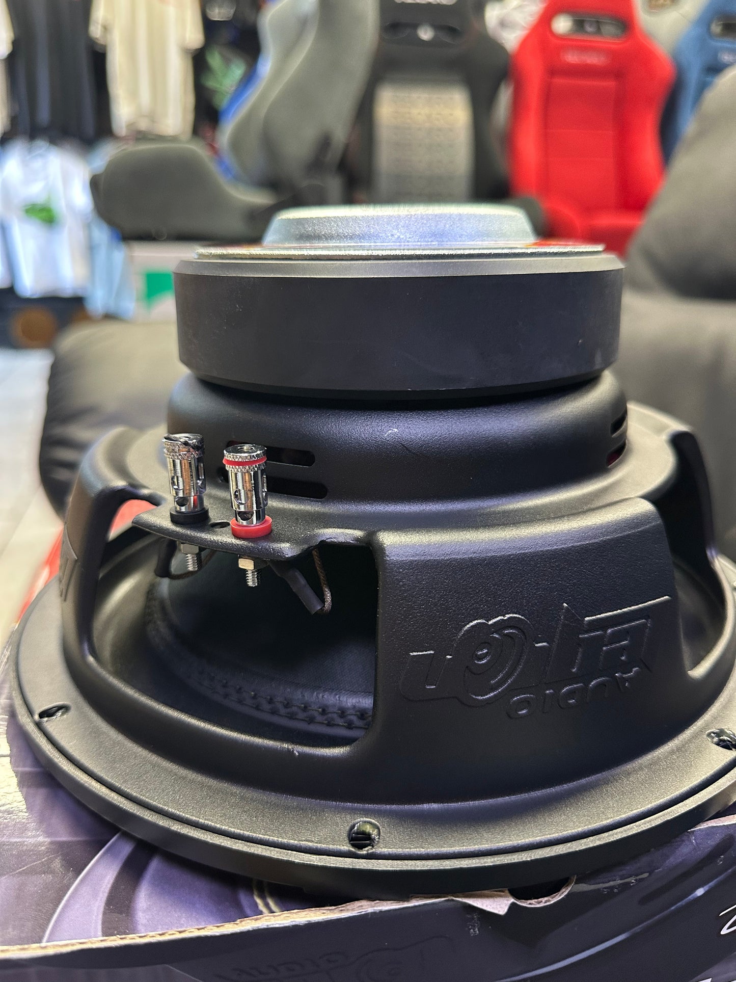 Audio Legion S1810 10" Subwoofer – Dual 4 Ohm