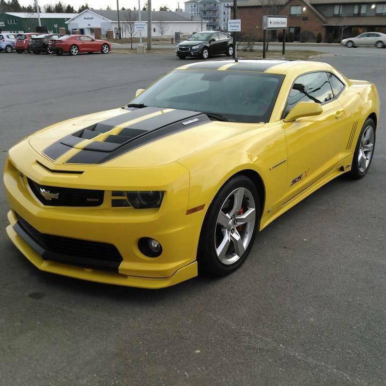 2010-15 Chevrolet Camaro Replacement Hood Insert