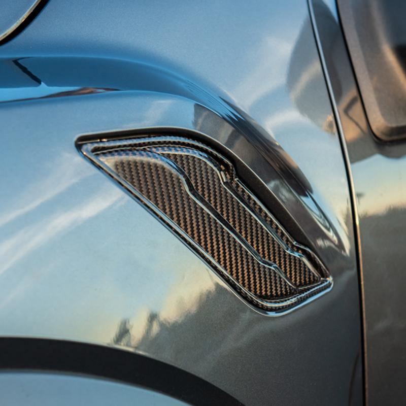 2017-20 Ford F-150 Raptor Carbon Fiber Side Fender Vents