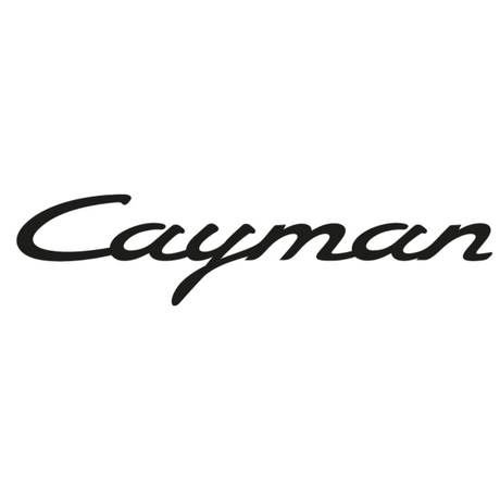 Porsche Cayman - Revline Performance