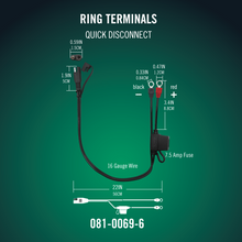 Ring Terminal Harness with Quick Disconnect 25 Pack