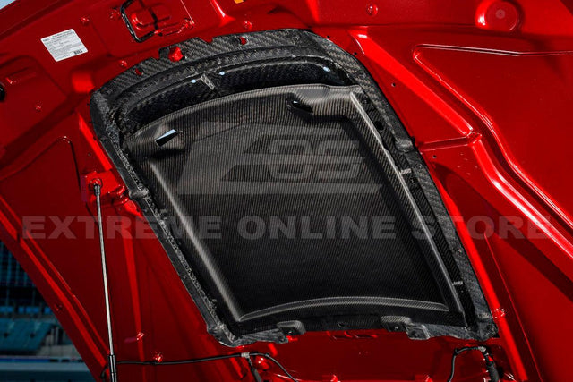 2020-23 Ford Mustang GT500 Carbon Fiber Rain Tray Cover