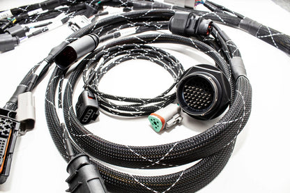 1.8T MK4 Wire Tucked Complete Engine Harness Wideband ECU's only AWP, AWW, BEA, BAM - V1