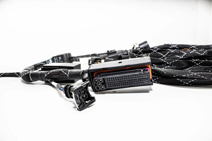 1.8T MK4 Wire Tucked Complete Engine Harness Wideband ECU's only AWP, AWW, BEA, BAM - V1