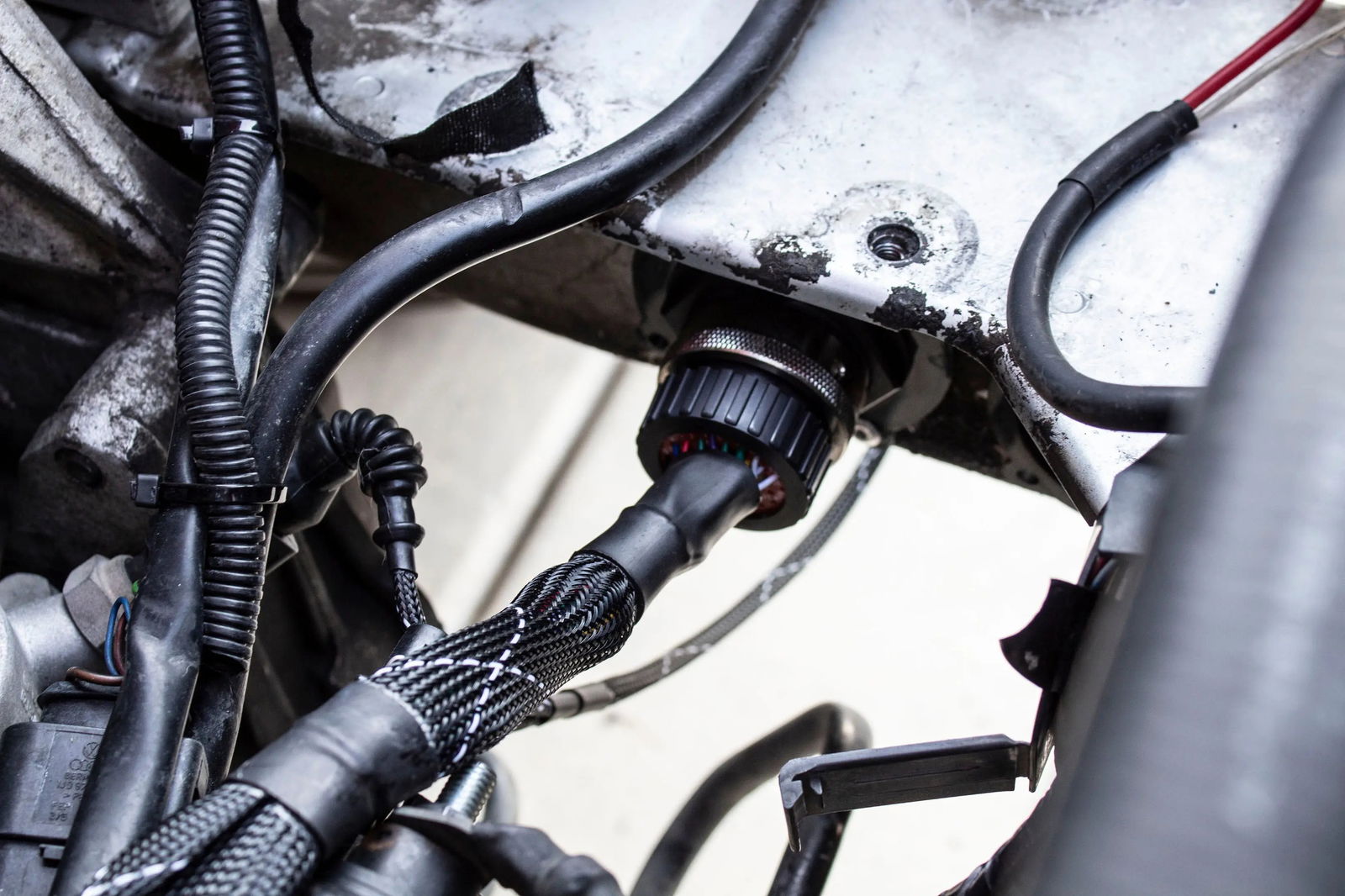 1.8T MK4 Wire Tucked Complete Engine Harness Wideband ECU's only AWP, AWW, BEA, BAM - V1