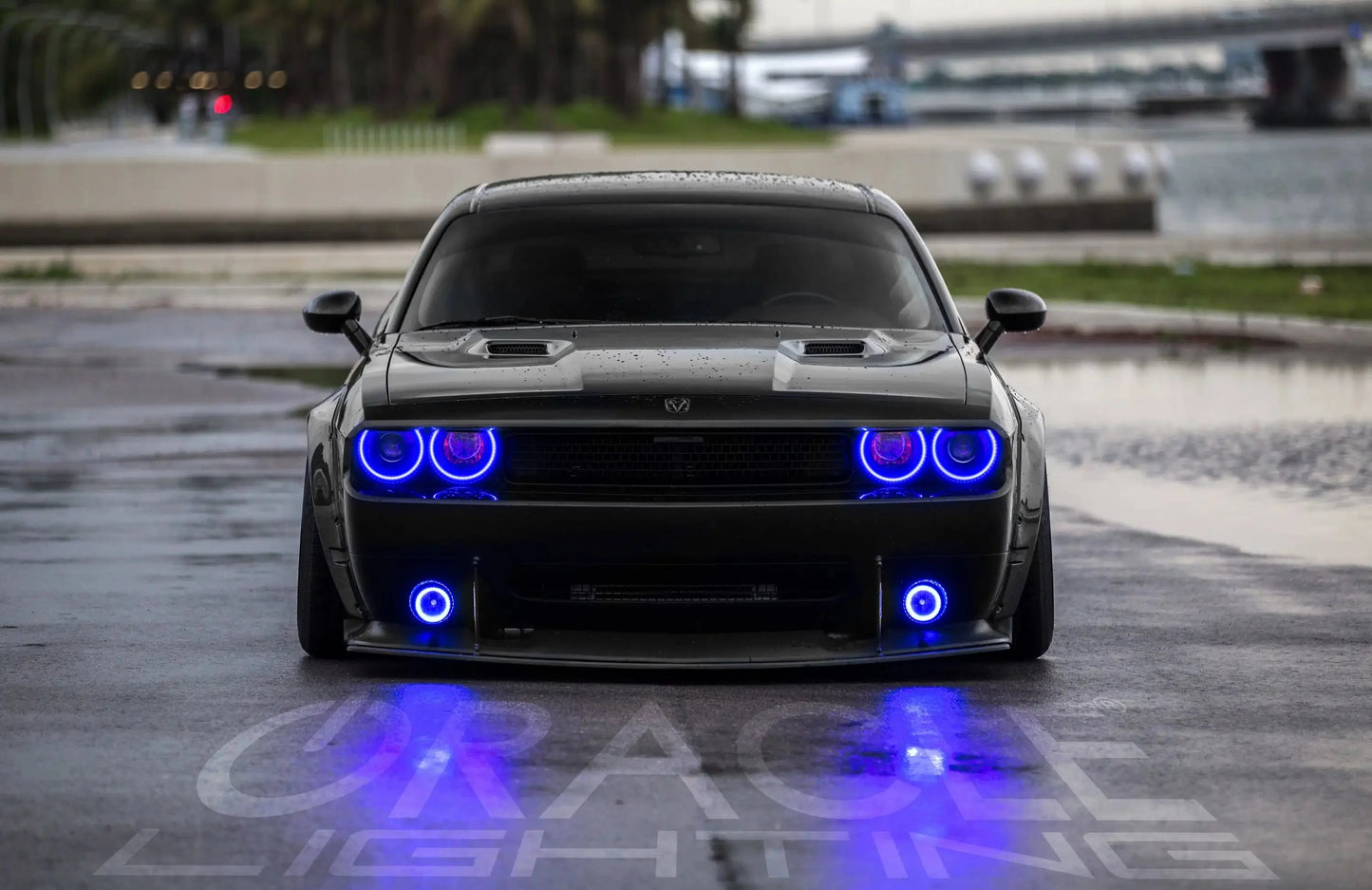 ORACLE Lighting 2008-2014 Dodge Challenger LED Fog Light Halo Kit - Surface Mount