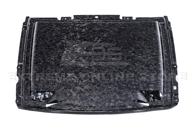 2020-23 Ford Mustang GT500 Carbon Fiber Rain Tray Cover
