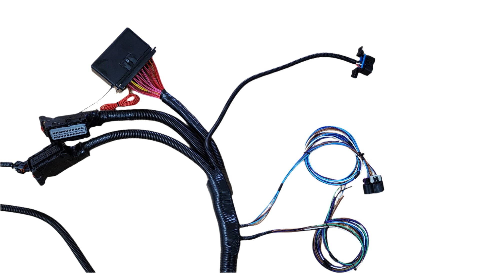 SPDZ1 Harness Gen IV LS3 Standalone Swap Harness – 58x, Drive-By-Wire, 6L80E/6L90E Automatic Transmission