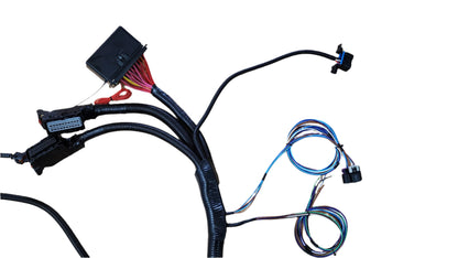 SPDZ1 Harness Gen IV LS3 Standalone Swap Harness – 58x, Drive-By-Wire, 6L80E/6L90E Automatic Transmission