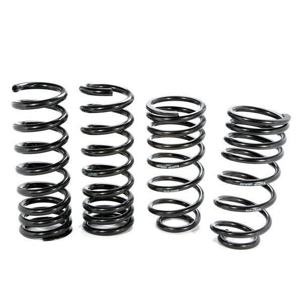 Mustang V8 Lowering Coil Springs 79-04