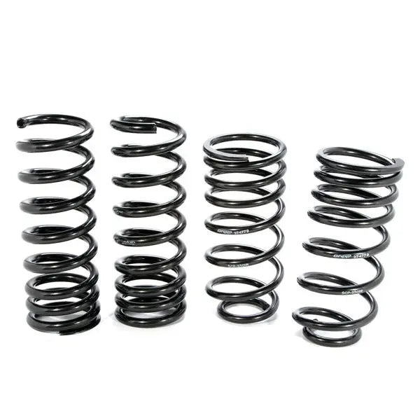 Mustang V8 Lowering Coil Springs 79-04