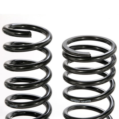 Mustang V8 Lowering Coil Springs 79-04