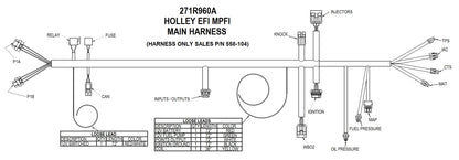 Universal V8 Mpfi EFI Harness Kit