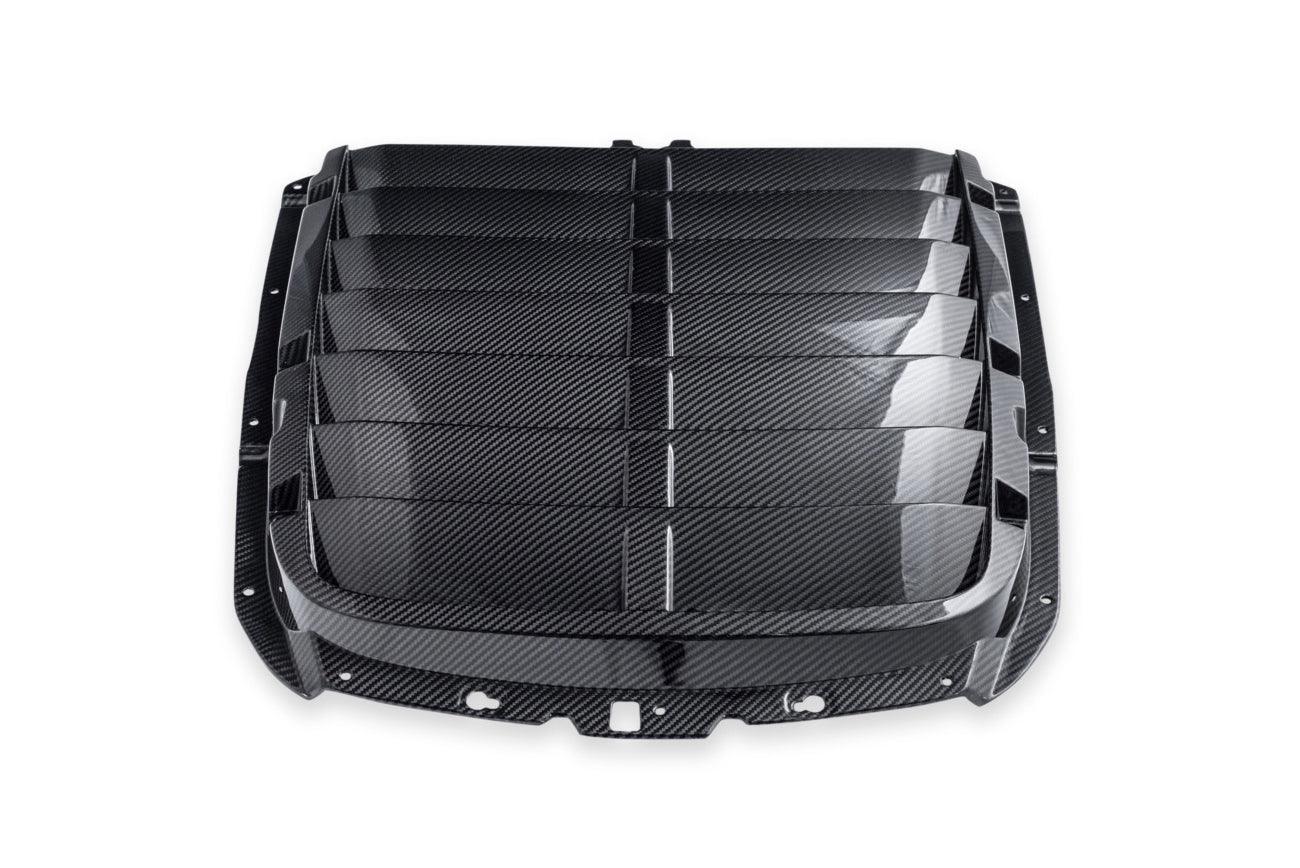 2020-23 Ford Mustang GT500 Carbon Fiber Front Hood Vent & Rain Tray Cover
