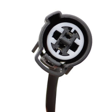 SPDZ1 1999-2000 Honda Civic K20/K24 Conversion Wiring Harness for Engine Swap