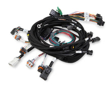 Ford 2V & 4V Modular Main Harness by The Tuner Store