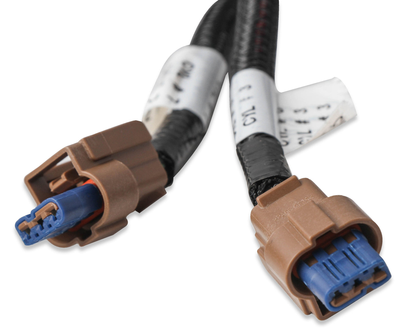 Ford Coyote Ti-VCT Coil Harness (2015.5-2017) by The Tuner Store