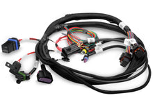 Terminator Main Harness by The Tuner Store