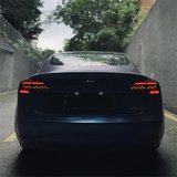 2017+ Tesla Model 3 And Y Tail Lights