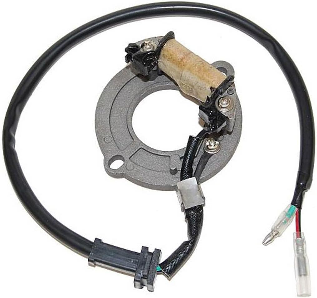 Electro Sport Stator HONDA CR80 (864011)