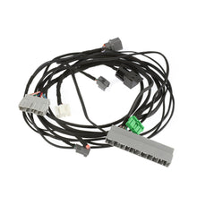 SPDZ1 1999-2000 Honda Civic K20/K24 Conversion Wiring Harness for Engine Swap