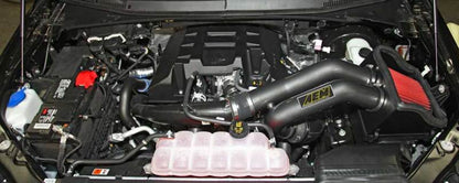 AEM Induction AEM 2015 Ford F-150 3.5L V8 Cold Air Intake System 21-8128DC
