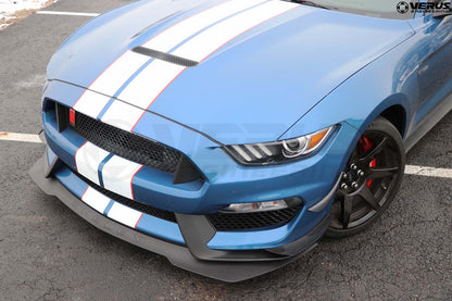 Dual Element Dive Plane Kit - Ford Mustang Shelby GT350 and GT350R