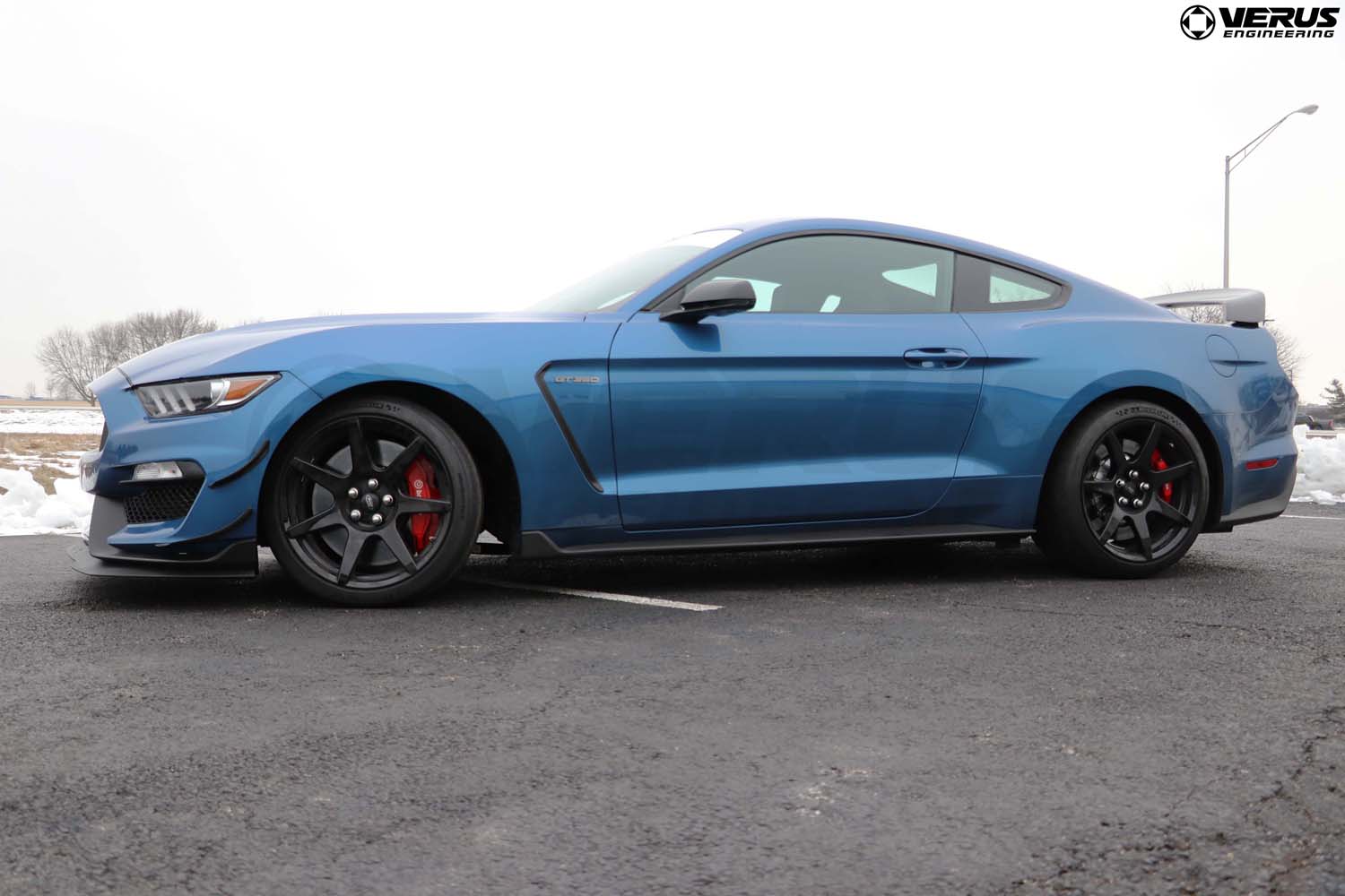 Dual Element Dive Plane Kit - Ford Mustang Shelby GT350 and GT350R
