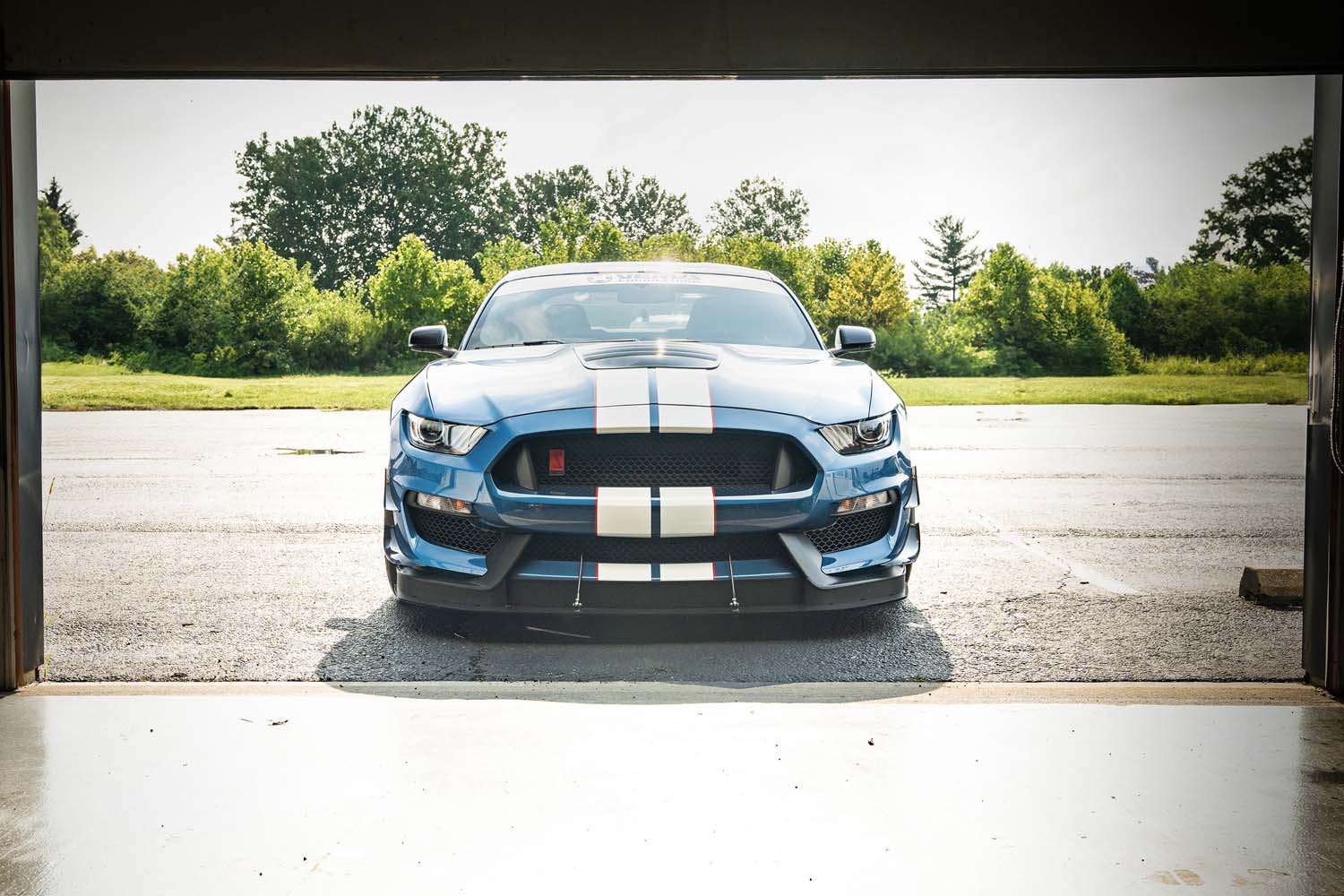 Dual Element Dive Plane Kit - Ford Mustang Shelby GT350 and GT350R