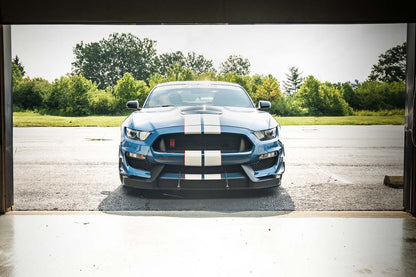 Dual Element Dive Plane Kit - Ford Mustang Shelby GT350 and GT350R