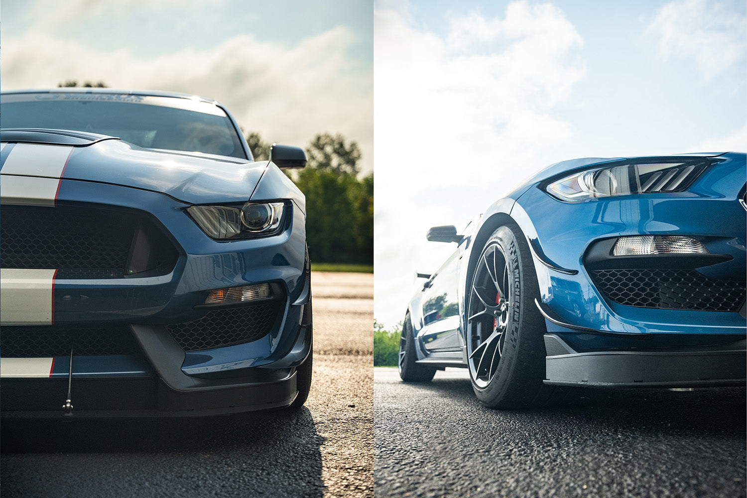 Dual Element Dive Plane Kit - Ford Mustang Shelby GT350 and GT350R