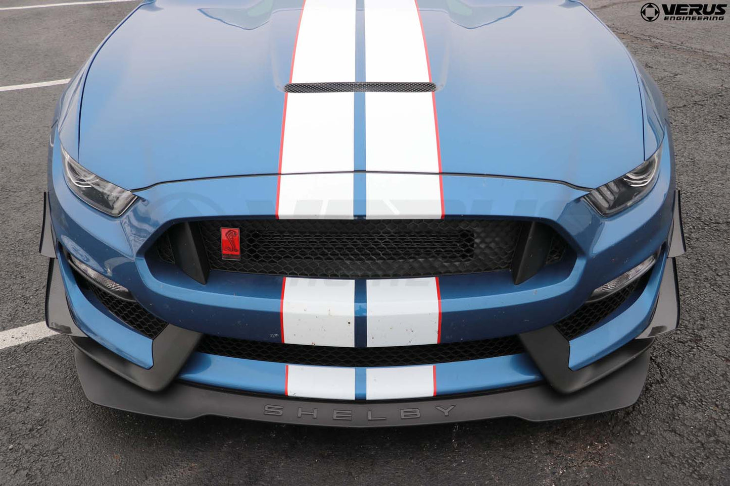 Dual Element Dive Plane Kit - Ford Mustang Shelby GT350 and GT350R