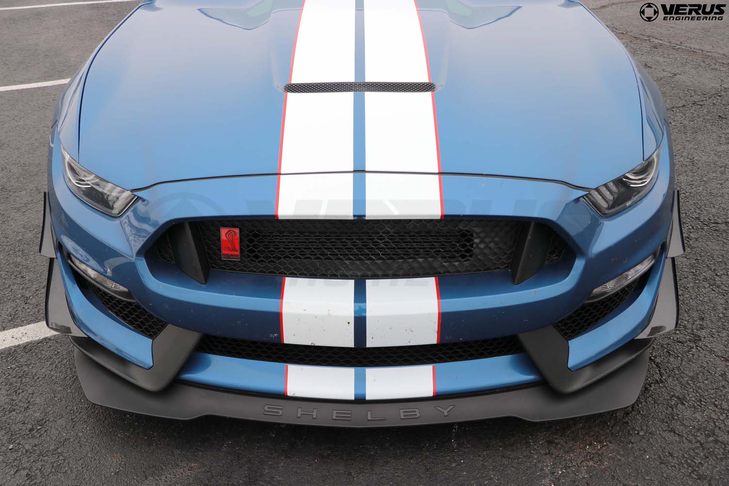 Dual Element Dive Plane Kit - Ford Mustang Shelby GT350 and GT350R