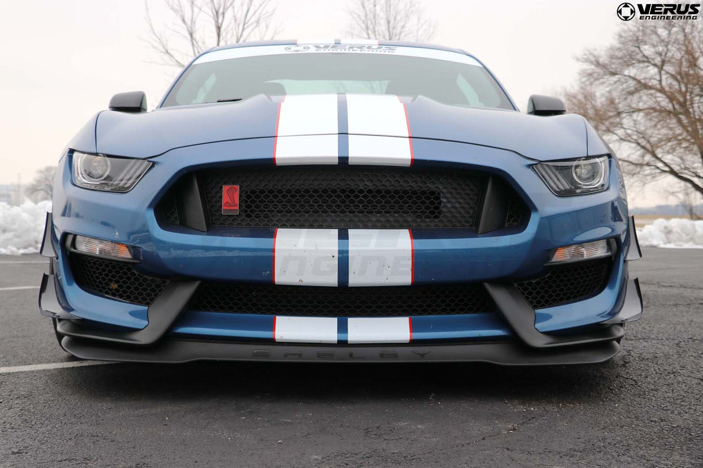 Dual Element Dive Plane Kit - Ford Mustang Shelby GT350 and GT350R