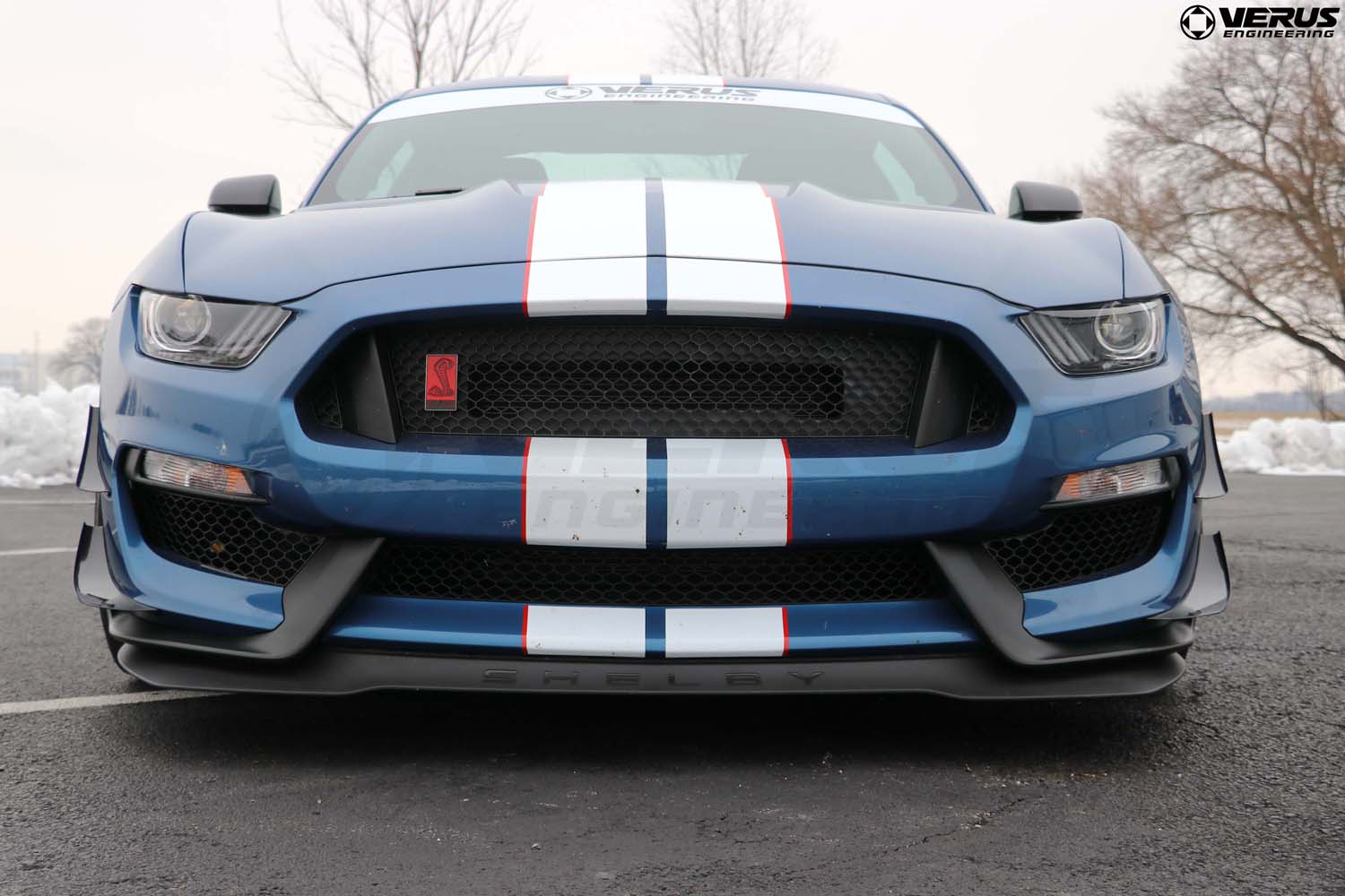 Dual Element Dive Plane Kit - Ford Mustang Shelby GT350 and GT350R