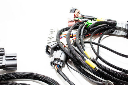 Acura Integra Wiretuck Headlight/Front End Harness | 96-01 DC | USDM Headlights/ Blinkers