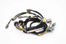 Budget Fueltech FT550 Standalone Honda B Series Jumper Adapter Sub Harness