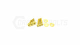 Titanium Hardware Engine Kit - Generation V LT1 Engine