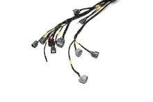 D & B-Series OBD1 Tucked Engine Harness Kit w/ Subharness | 96-98 Civic EK
