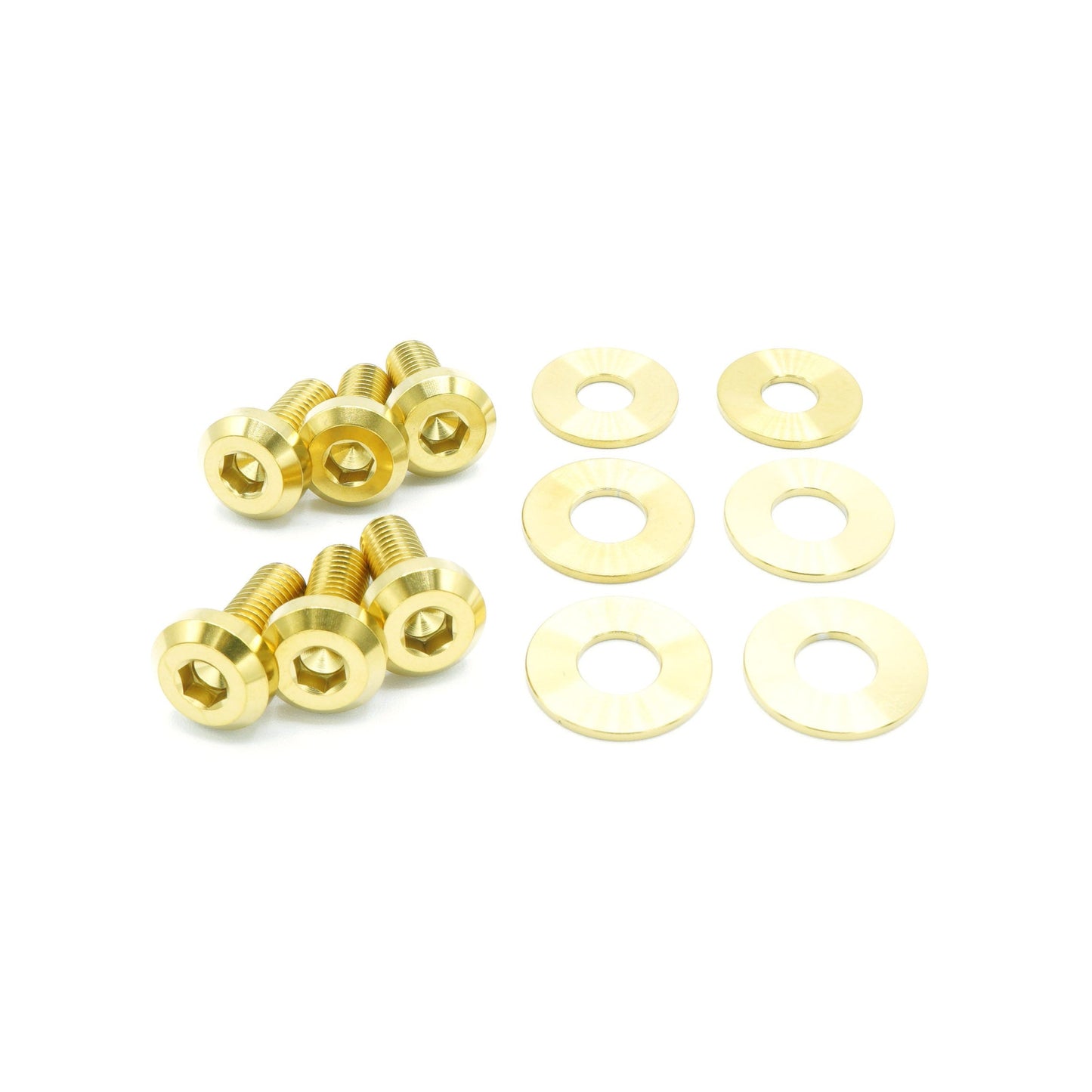 Titanium Hardware Hood Kit - Dodge Charger (2015-2023)