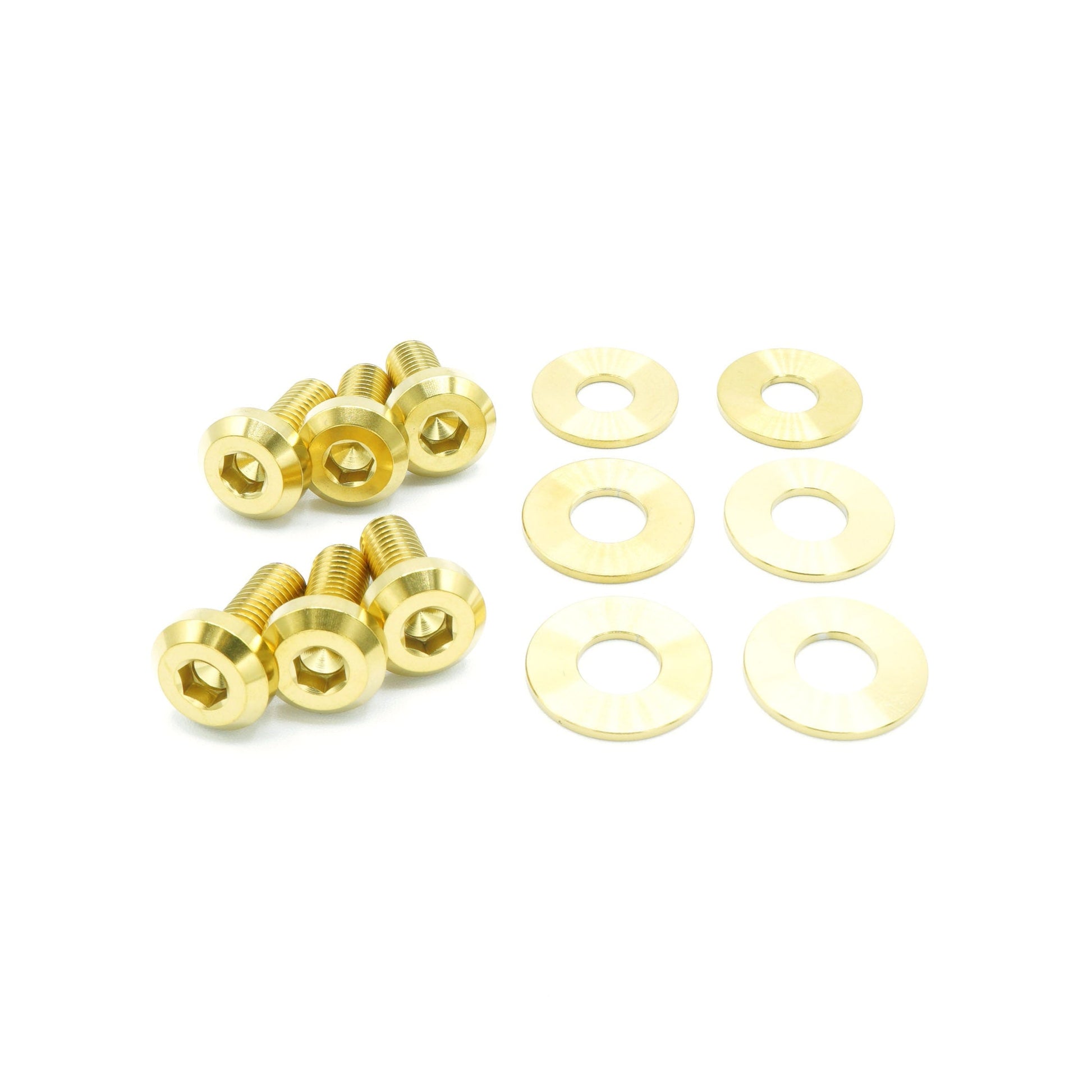 Titanium Hardware Hood Kit - Dodge Charger (2015-2023)