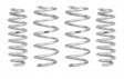 Pro Lift Kit Ford Bronco (Front & Rear Springs)