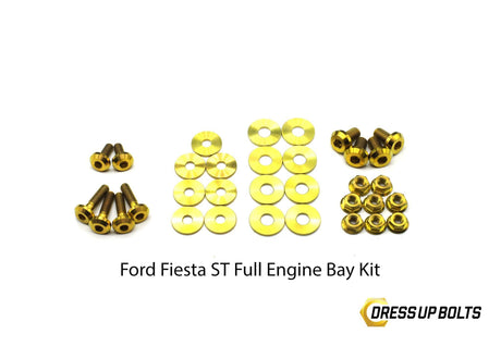 Ford Fiesta ST (2013-2018) Titanium Dress Up Bolt Engine Bay Kit