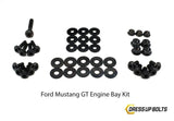 Ford Mustang GT (2015-2017) Titanium Dress Up Bolts Engine Bay Kit