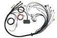 Elite 2000/2500 EV1 Terminated Wire Harness