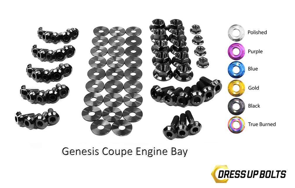 Hyundai Genesis Coupe (2009-2016) BK Titanium Full Engine Bay Kit