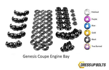 Hyundai Genesis Coupe (2009-2016) BK Titanium Full Engine Bay Kit