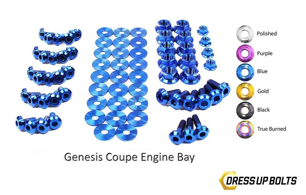 Hyundai Genesis Coupe (2009-2016) BK Titanium Dress Up Bolts Full Engine Bay Kit